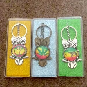 A 3 pcs set multi color owl 🦉 keychain 💕💕💕